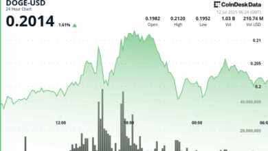 DOGE Surges 9% Before Sharp Reversal as $0.213 Resistance Halts Rally
