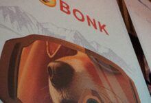 Bonk.fun Grabs 55% of Solana Token Issuance Share, Drives Buying Pressure on BONK