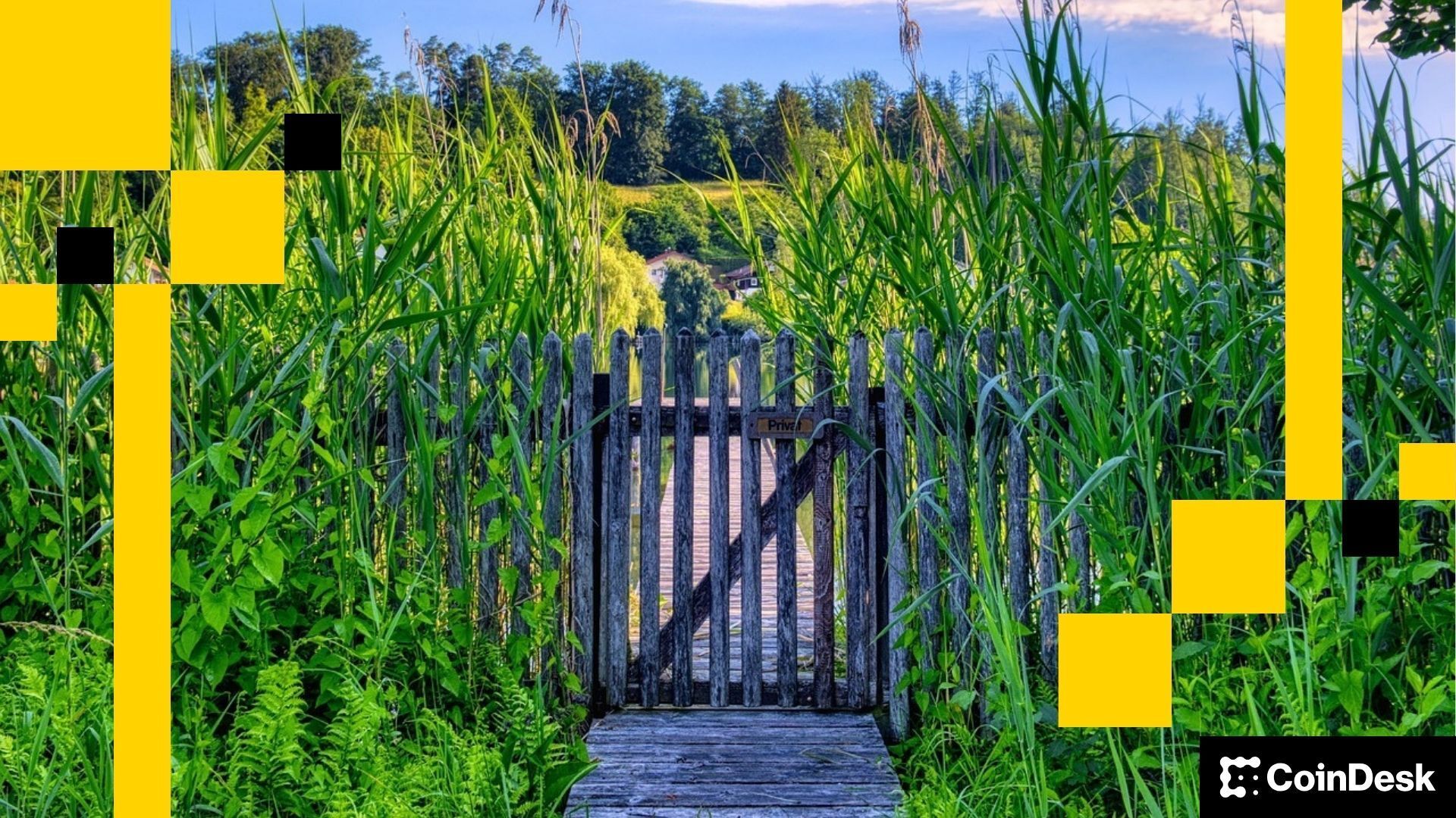 Gated Communities Are Really Nice for Crypto—Marc Vanlerberghe Gated Communities Are Actually Great for Crypto—Marc Vanlerberghe