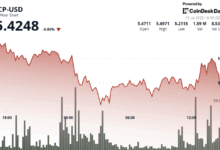 ICP Recovers From Lows as AI Platform Launch Boosts Ecosystem Sentiment