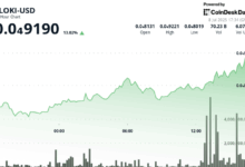 FLOKI Explodes 12% on Massive Volume, Potentially Signalling Bullish Momentum