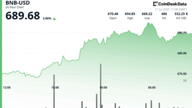 Why is BNB Up Today? $1B Token Burn and Corporate Treasury Plans Fuel Demand