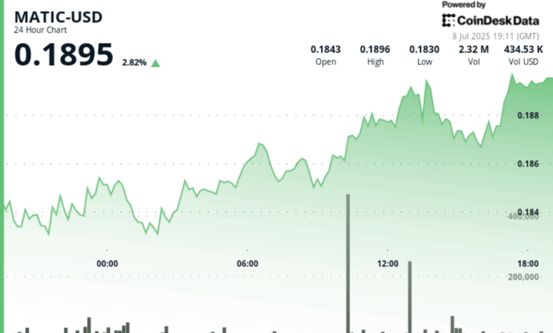 Polygon’s Token Gains 3% After Seeing ‘Exceptional’ Trading Volume