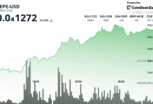 Why is PEPE Up? Price Jumps as Whales Pile In, Bitcoin Breaks $118K in Broad Crypto Rally