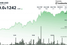 Shiba Inu Eyes Bull Run Against Bitcoin (BTC), But Looks Weak Against Dogecoin (DOGE)
