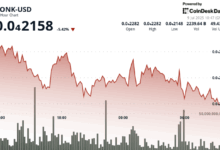 BONK Drops on Selloff Even as Bonk.fun Drives $199M in Daily Volume