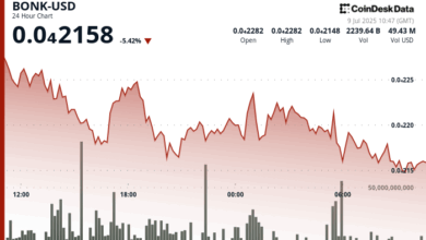 BONK Drops on Selloff Even as Bonk.fun Drives $199M in Daily Volume