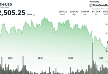 Nasdaq-Listed Firm Explains Its Strategy
