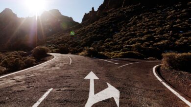 Institutions Focus on BTC, ETH, While Memecoin Fragmention Hits DOGE, SHIB