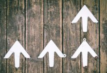 Cardano’s ADA Rises as Altcoin Trading Volume Surges Amid Broader Rally