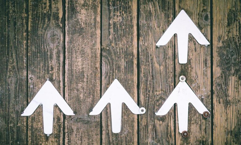 Cardano’s ADA Rises as Altcoin Trading Volume Surges Amid Broader Rally