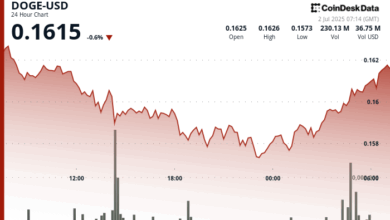 Dogecoin Rebounds After Forming 'Double Bottom'