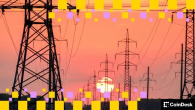 Decentralized Infrastructure Allows America to Compete on AI