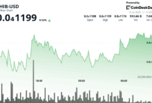 Shiba Inu's Futures Open Interest Tops 7M SHIB as Price Recovery Meets Whale Selling