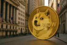Bit Origin lines up $500M to build Dogecoin treasury as corporate altcoin bets expand