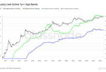 Long-Term BTC Holders Signal Patience in Market