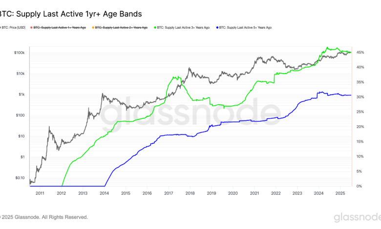 Long-Term BTC Holders Signal Patience in Market