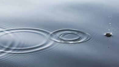 Ripple Expands Stablecoin Infrastructure Partnership as it Seeks Bank License