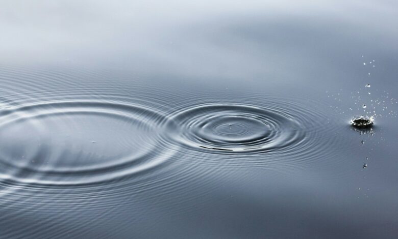 Ripple Expands Stablecoin Infrastructure Partnership as it Seeks Bank License