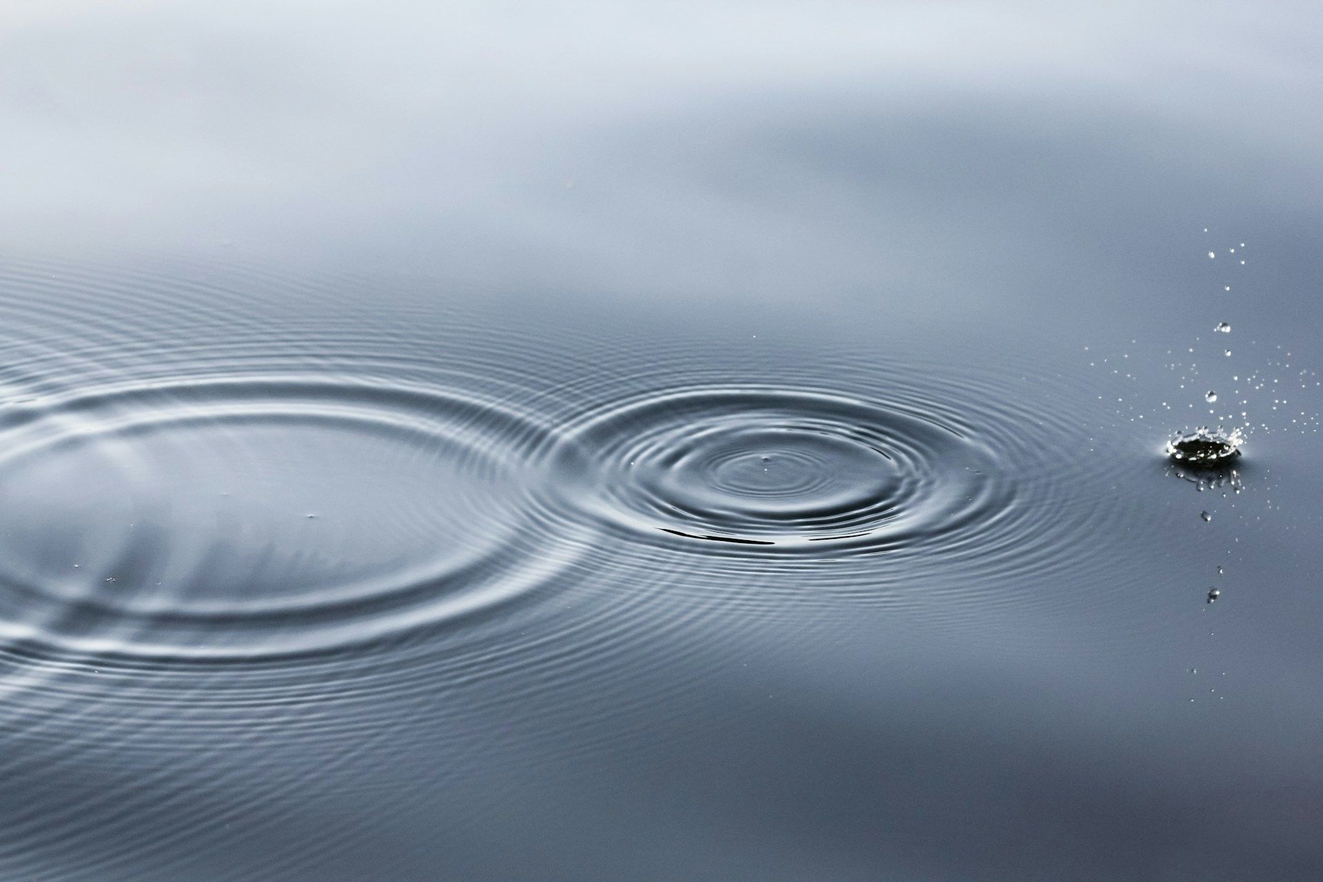 Ripple Expands Stablecoin Infrastructure Partnership because it Seeks Financial institution License Ripple Expands Stablecoin Infrastructure Partnership as it Seeks Bank License