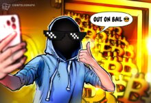 How a teen stole $243M in Bitcoin, then did it again on bail