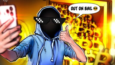 How a teen stole $243M in Bitcoin, then did it again on bail