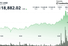$BTC Breaks $119K, but $XLM and $HBAR Soar 22% and 27% as Top Percentage Gainers in Top 20