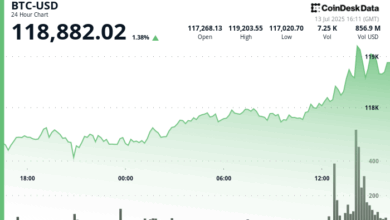 $BTC Breaks $119K, but $XLM and $HBAR Soar 22% and 27% as Top Percentage Gainers in Top 20