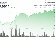 Polkadot's DOT Gains as Much as 5% as Bitcoin (BTC) Nears All-Time Highs
