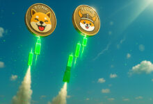 Memecoins and DeFi beat Bitcoin as BONK, CRV, FRAX post over 20% gains in 24 hours