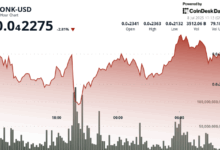 BONK Surges Past TRUMP with Volume Spike and Meme Market Upset