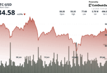 Price Slides as ETF Optimism Battles Wider Market Slowdown