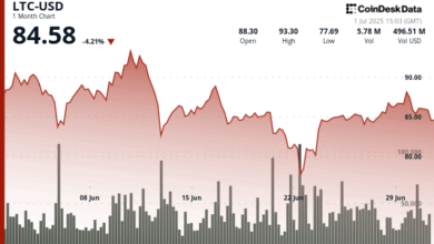 Price Slides as ETF Optimism Battles Wider Market Slowdown