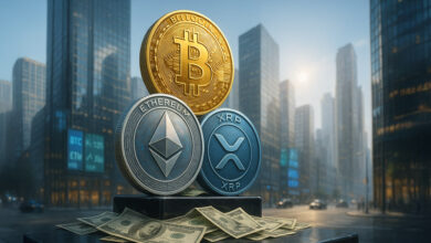 Crypto fundraising hits $16.5B in 2025 as tokenless ventures soar