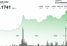 Dogecoin Sees Heavy Buying From Whales as Elon Musk Supports BTC in New Party Rollout