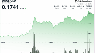 Dogecoin Sees Heavy Buying From Whales as Elon Musk Supports BTC in New Party Rollout