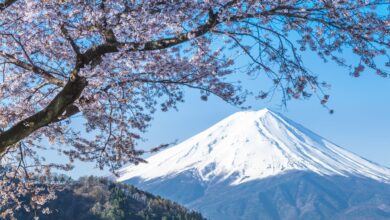 Japan's SBI to Let Users Swap Credit Card Points for Bitcoin, Ether, and XRP