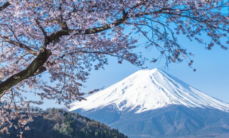 Japan's SBI to Let Users Swap Credit Card Points for Bitcoin, Ether, and XRP