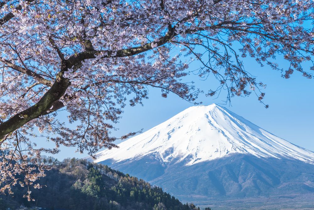 Japan's SBI to Let Customers Swap Credit score Card Factors for Bitcoin, Ether, and XRP Japan's SBI to Let Users Swap Credit Card Points for Bitcoin, Ether, and XRP