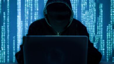 Nigerian Scammer Posing as Trump Ally Steve Witkoff Stole 250K in Crypto From One Political Donor