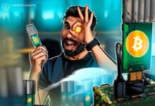 Solo Bitcoin Miners Defy the Odds as Block Rewards Keep Coming