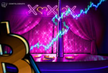 The Stripper Index Doesn’t Hold Up in Bitcoin’s Case, OnlyFans Models Say