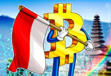 Indonesian Government Is Considering A Bitcoin Reserve