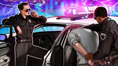 Memecoin Group Linked To Sex Toys Thrown At WNBA Games