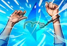 Ethereum Core Dev Safe And Free After Being Detained In Turkey
