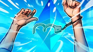 Ethereum Core Dev Safe And Free After Being Detained In Turkey
