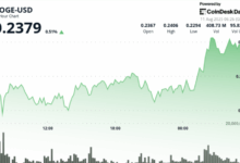 $200M Whale Purchases Propel DOGE 3% Higher in Breakout Session
