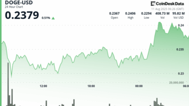 $200M Whale Purchases Propel DOGE 3% Higher in Breakout Session
