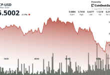 Internet Computer Slides From Peak as Sellers Dominate Before Recovery