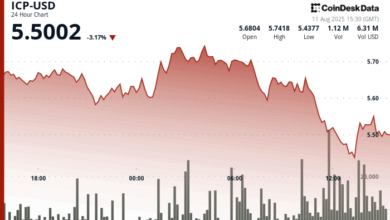 Internet Computer Slides From Peak as Sellers Dominate Before Recovery